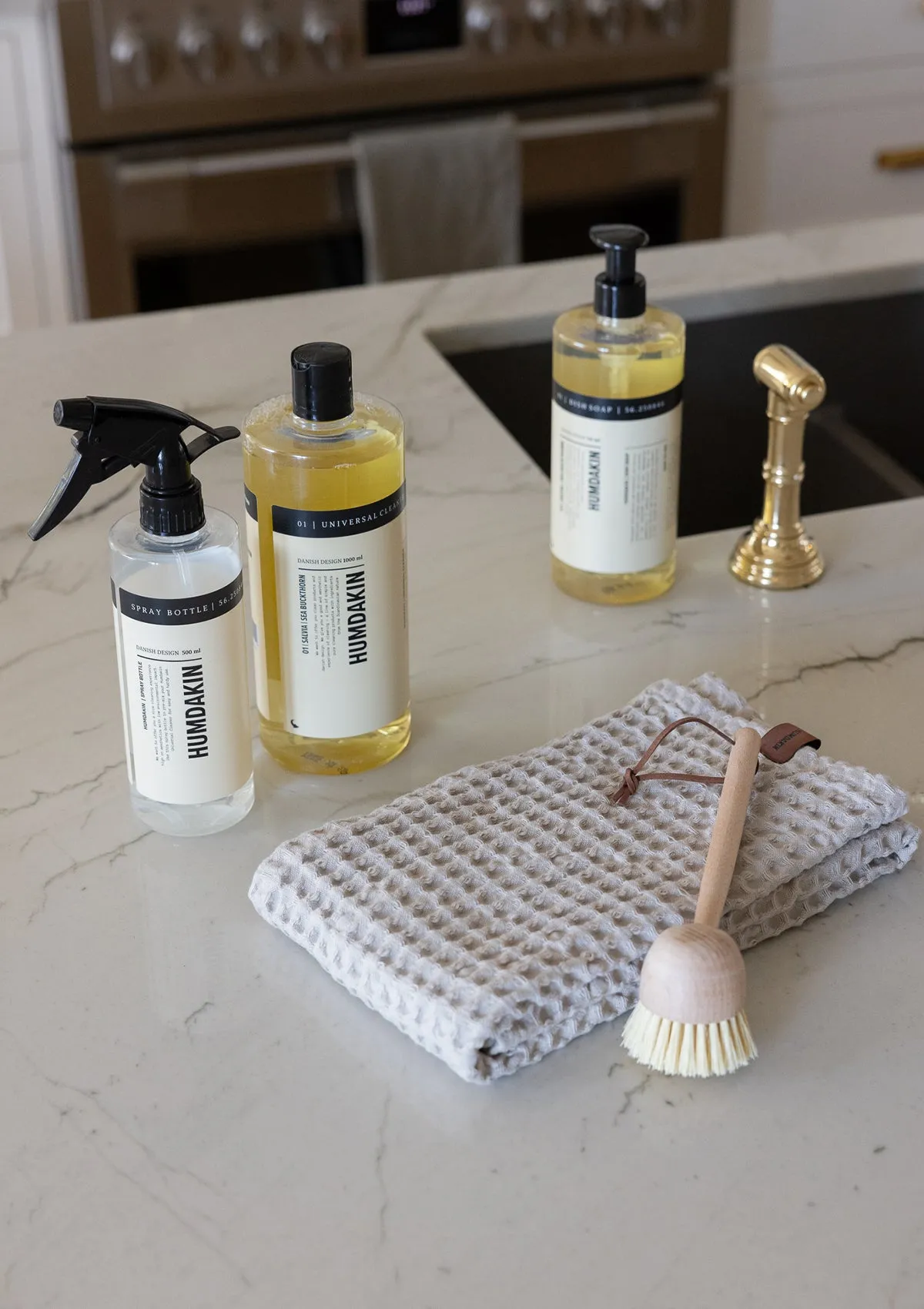 Wooden Dish Brush
