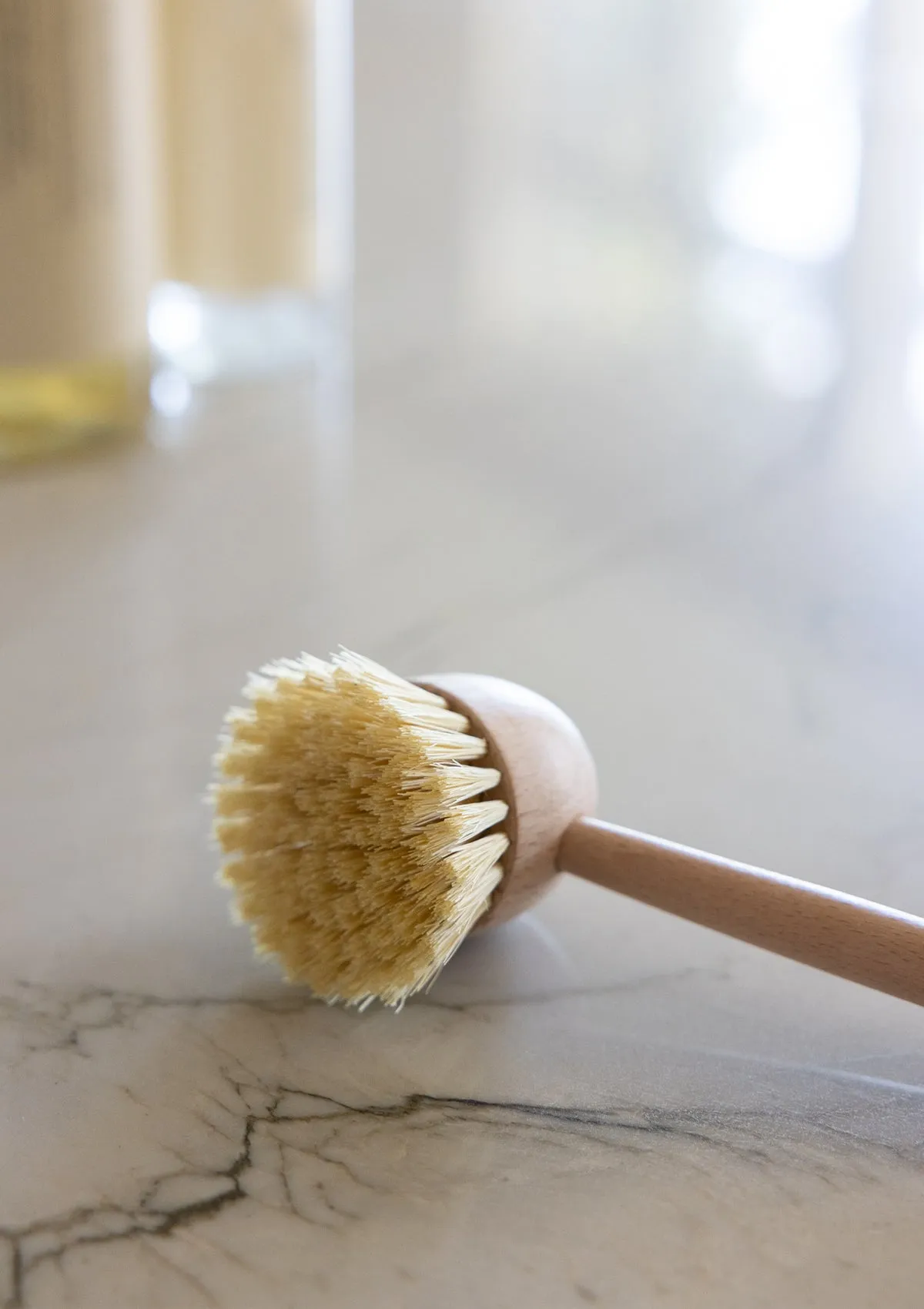 Wooden Dish Brush